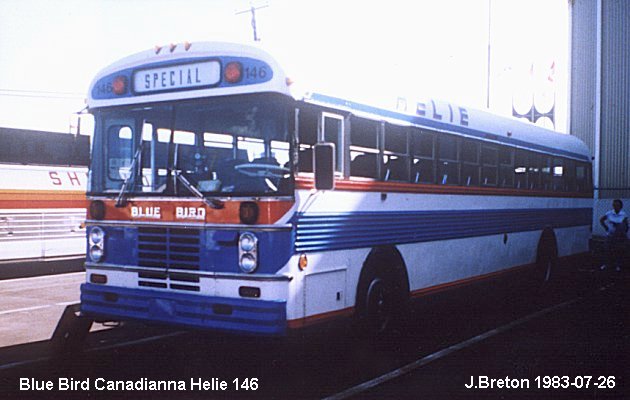 BUS/AUTOBUS: Blue Bird Canadianna 1980 Helie