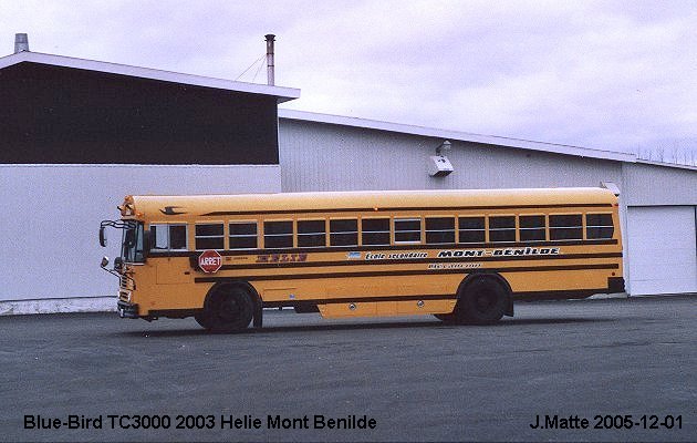 BUS/AUTOBUS: Blue Bird TC 2000 2003 Helie