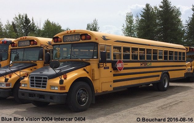 BUS/AUTOBUS: Blue Bird Vision 2004 Intercar