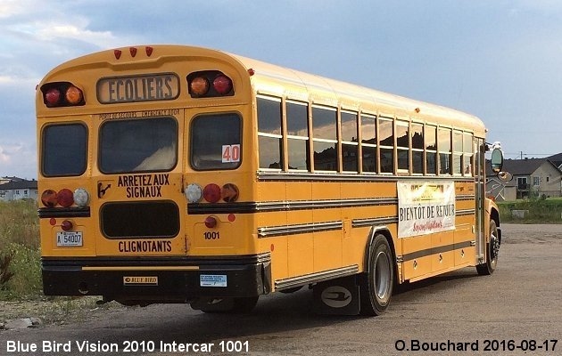 BUS/AUTOBUS: Blue Bird Vision 2010 Intercar