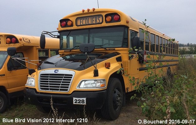 BUS/AUTOBUS: Blue Bird Vision 2012 Intercar