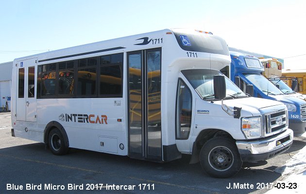 BUS/AUTOBUS: Blue Bird Micro Bird 2017 Intercar