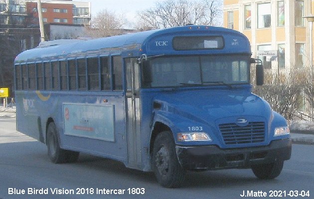 BUS/AUTOBUS: Blue Bird Vision 2018 Intercar