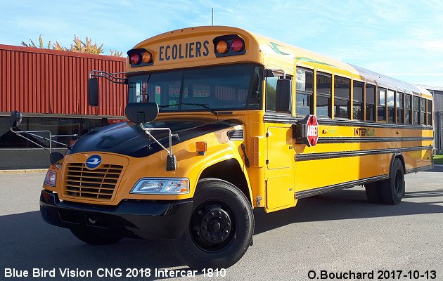 BUS/AUTOBUS: Blue Bird Vision CNG 2018 Intercar