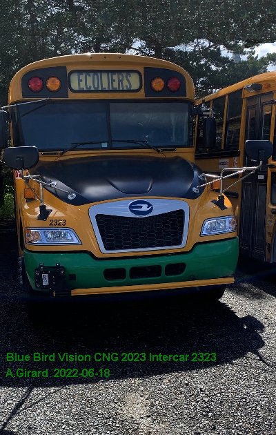 BUS/AUTOBUS: Blue Bird Vision CNG 2023 Intercar
