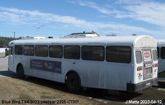 BUS/AUTOBUS: Blue Bird TX4 2023 Intercar