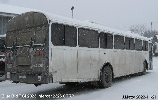 BUS/AUTOBUS: Blue Bird TX4 2023 Intercar