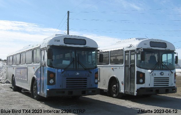 BUS/AUTOBUS: Blue Bird TX4 2023 Intercar