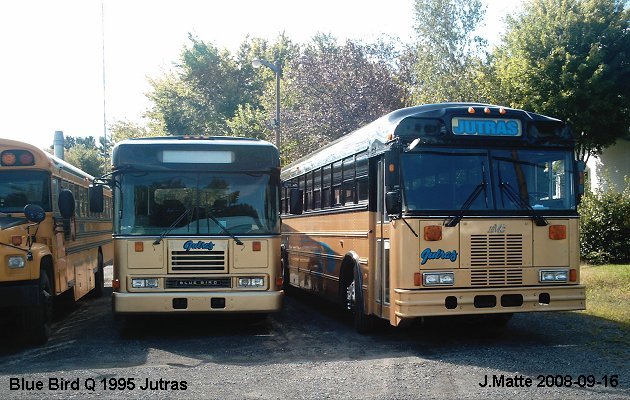 BUS/AUTOBUS: Blue Bird Q Type 1995 Jutras