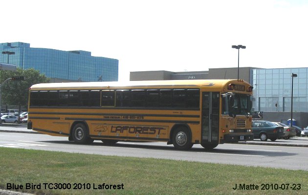 BUS/AUTOBUS: Blue Bird TC3000 GLX 2010 Laforest