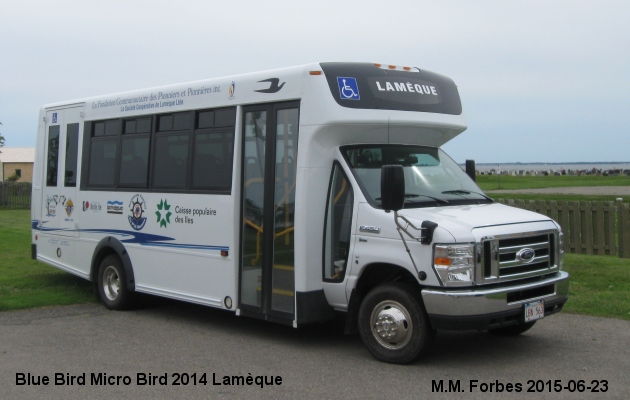 BUS/AUTOBUS: Blue Bird Micro Bird 2014 Lameque