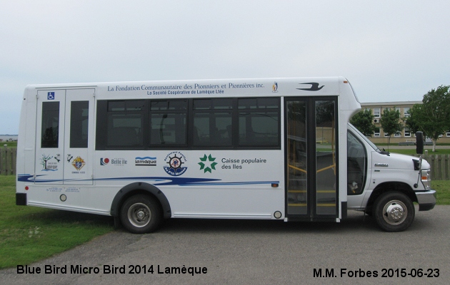 BUS/AUTOBUS: Blue Bird Micro Bird 2014 Lameque