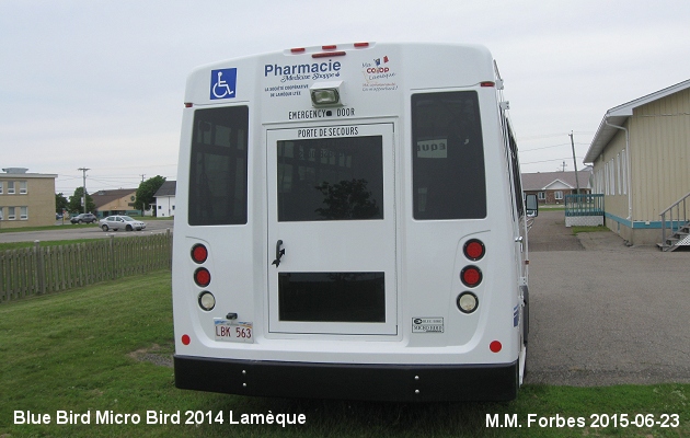 BUS/AUTOBUS: Blue Bird Micro Bird 2014 Lameque