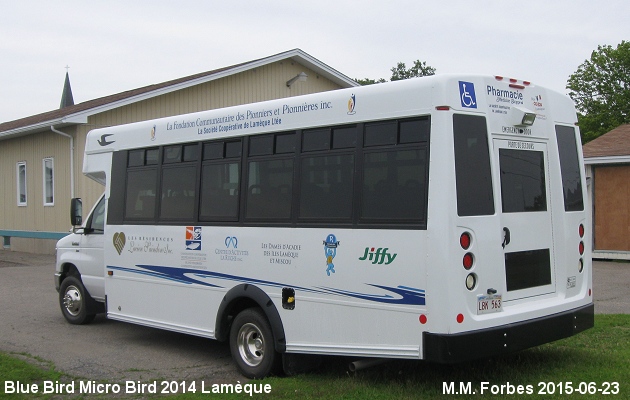 BUS/AUTOBUS: Blue Bird Micro Bird 2014 Lameque