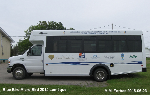 BUS/AUTOBUS: Blue Bird Micro Bird 2014 Lameque