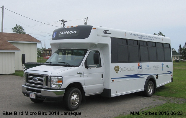 BUS/AUTOBUS: Blue Bird Micro Bird 2014 Lameque