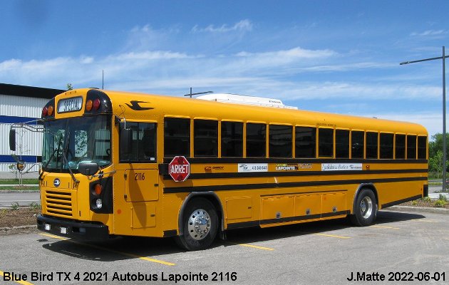 BUS/AUTOBUS: Blue Bird TX 4 2021 Lapointe