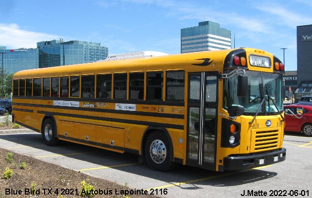 BUS/AUTOBUS: Blue Bird TX 4 2021 Lapointe