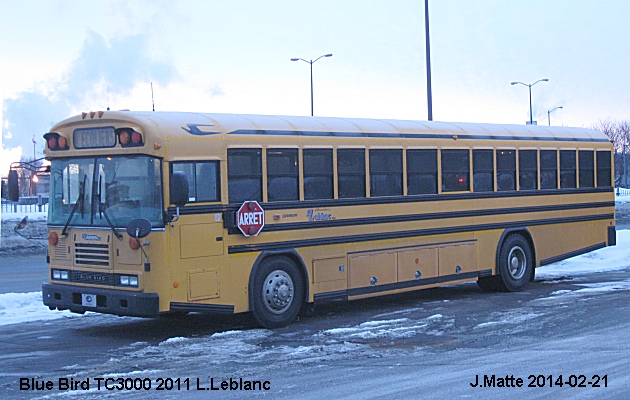 BUS/AUTOBUS: Blue Bird TC 3000 2011 Leblanc