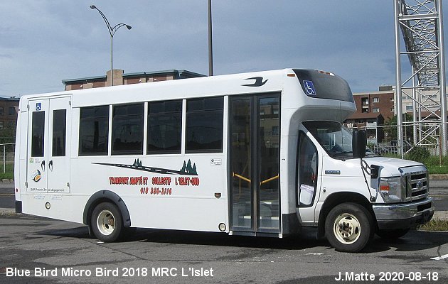 BUS/AUTOBUS: Blue Bird MicroBird 2018 L ilest