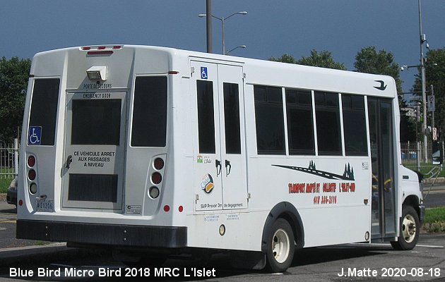 BUS/AUTOBUS: Blue Bird MicroBird 2018 L ilest