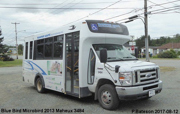 BUS/AUTOBUS: Blue Bird Micro Bird 2013 Maheux