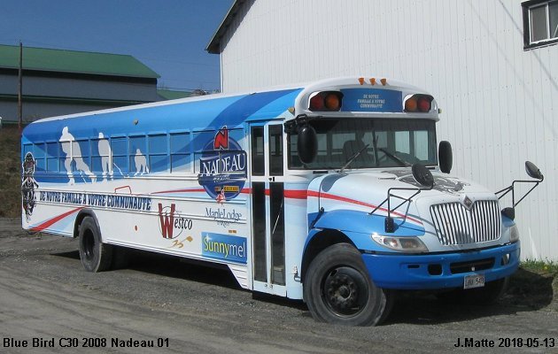 BUS/AUTOBUS: Blue Bird C30 2008 Nadeau