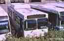 pics/nfde40lf_small.jpg
