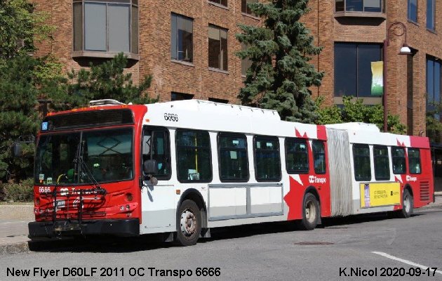 BUS/AUTOBUS: New Flyer D60LF 2011 OC Transpo