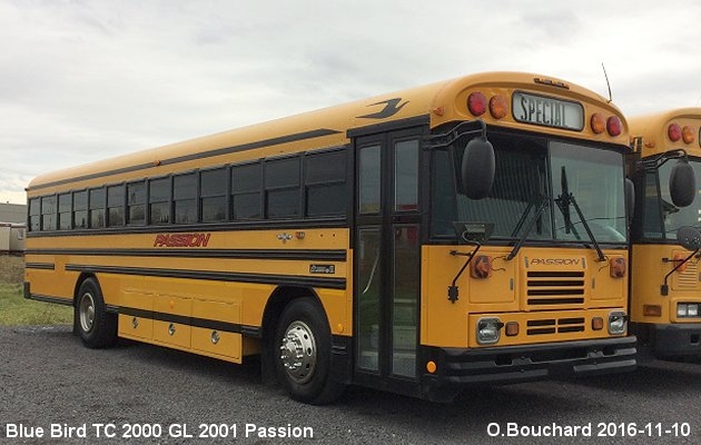 BUS/AUTOBUS: Blue Bird TC 2000 GL 2001 Passion