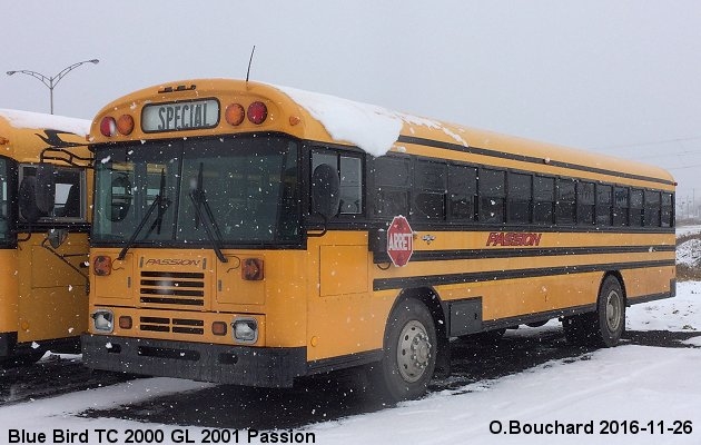 BUS/AUTOBUS: Blue Bird TC 2000 GL 2001 Passion