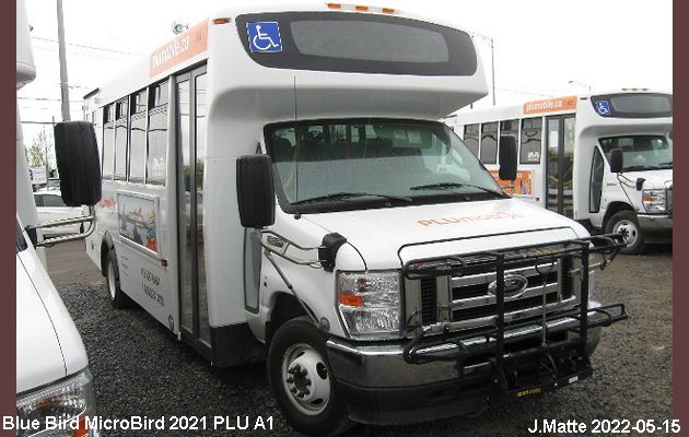 BUS/AUTOBUS: Blue Bird MicroBird 2021 Tours Vieux Quebec