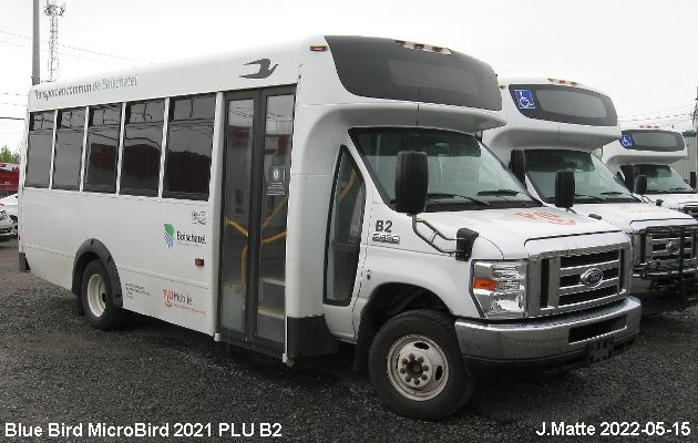 BUS/AUTOBUS: Blue Bird MicroBird 2021 Tours Vieux Quebec