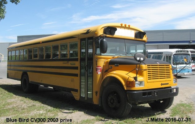 BUS/AUTOBUS: Blue Bird CV300 2003 prive