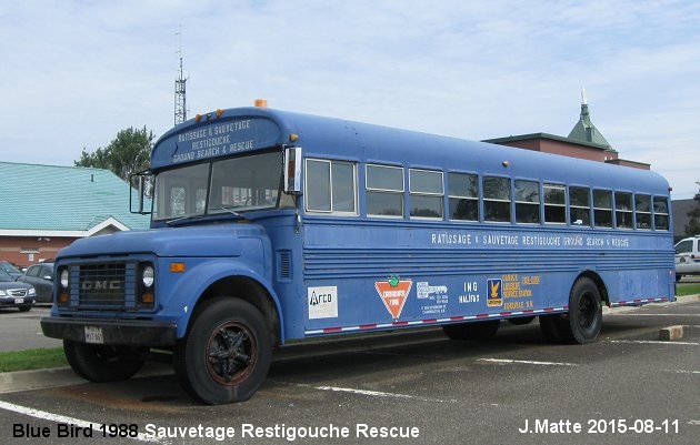 BUS/AUTOBUS: Blue Bird C300 1988 Restigouche