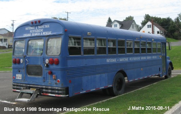 BUS/AUTOBUS: Blue Bird C300 1988 Restigouche