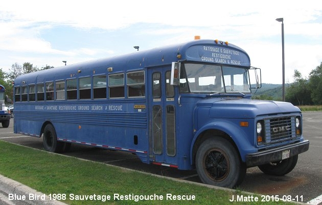 BUS/AUTOBUS: Blue Bird C300 1988 Restigouche