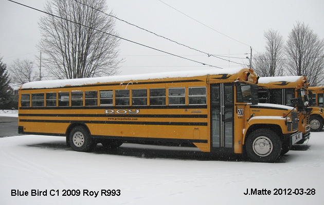 BUS/AUTOBUS: Blue Bird C 1 2003 Roy