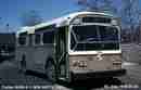 pics/septa1161_small.jpg