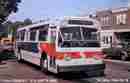 pics/septa6605_small.jpg