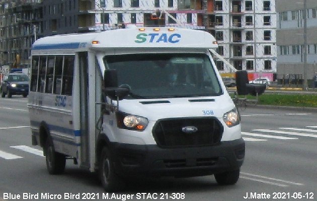 BUS/AUTOBUS: Blue Bird MicroBird 2021 M.Auger