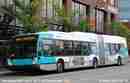 pics/sto1711_small.jpg