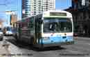 pics/sto8539_small.jpg