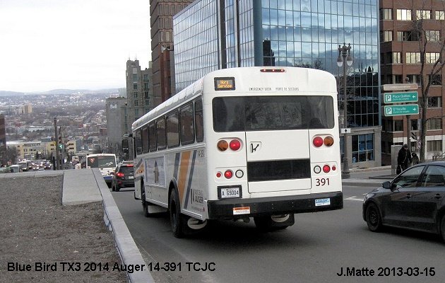 BUS/AUTOBUS: Blue Bird TX3 2014 TCJC