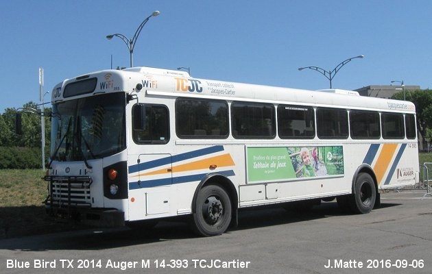 BUS/AUTOBUS: Blue Bird TX 4 2014 Auger M