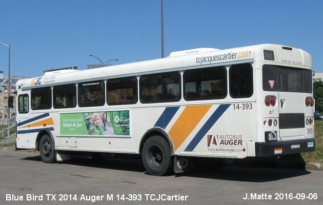 BUS/AUTOBUS: Blue Bird TX 4 2014 Auger M