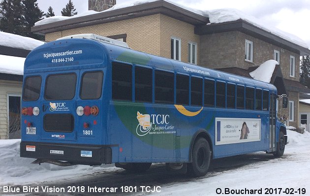 BUS/AUTOBUS: Blue Bird Vision 2018 TCJC