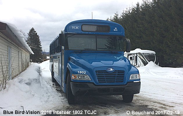 BUS/AUTOBUS: Blue Bird Vision 2018 TCJC