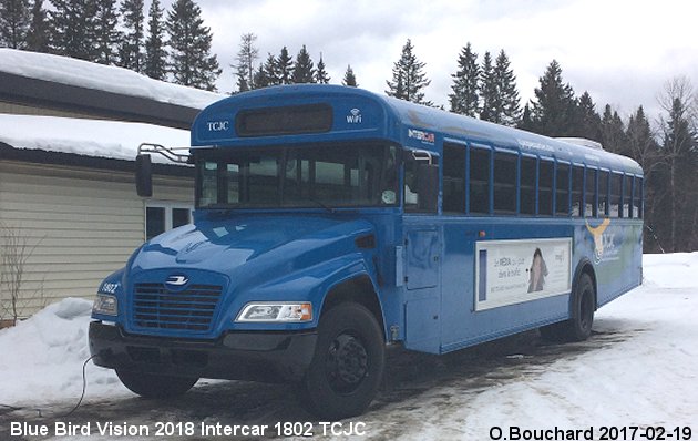 BUS/AUTOBUS: Blue Bird Vision 2018 TCJC