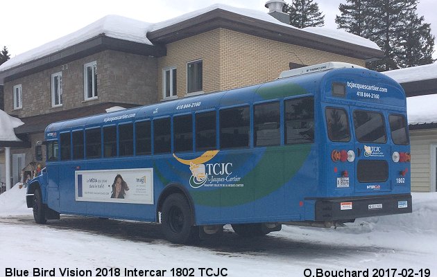 BUS/AUTOBUS: Blue Bird Vision 2018 TCJC